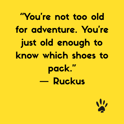 ruckus quotes (3).png