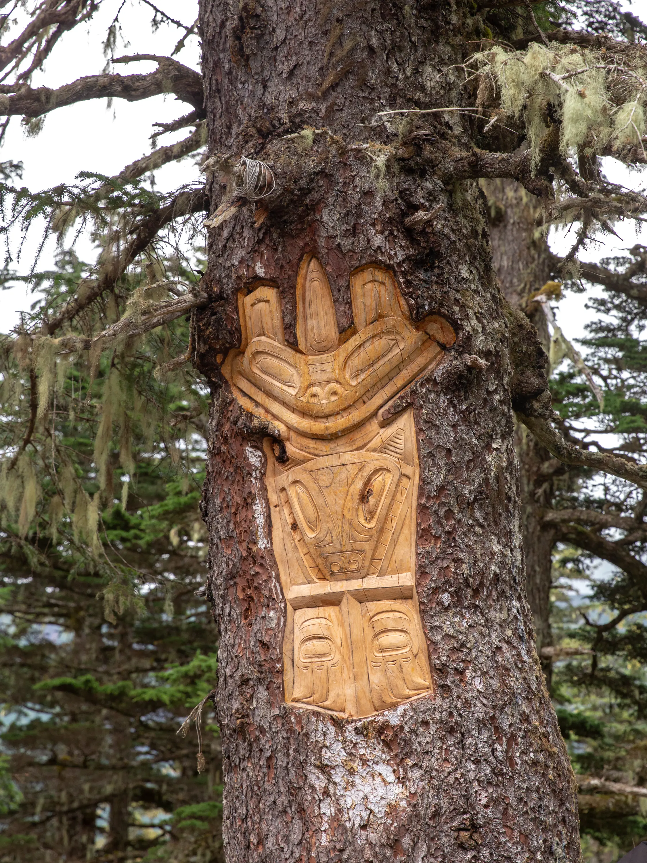 AZA_Alaska_Juneau_Carving_20190724_IMG_2011.webp