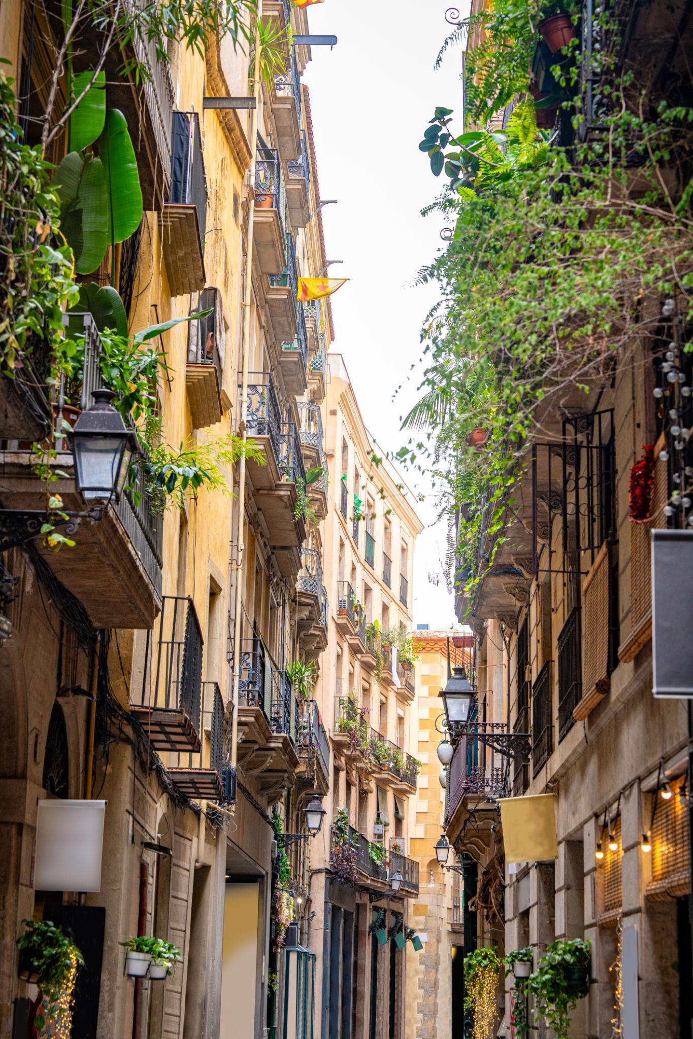 gothic quarter.jfif