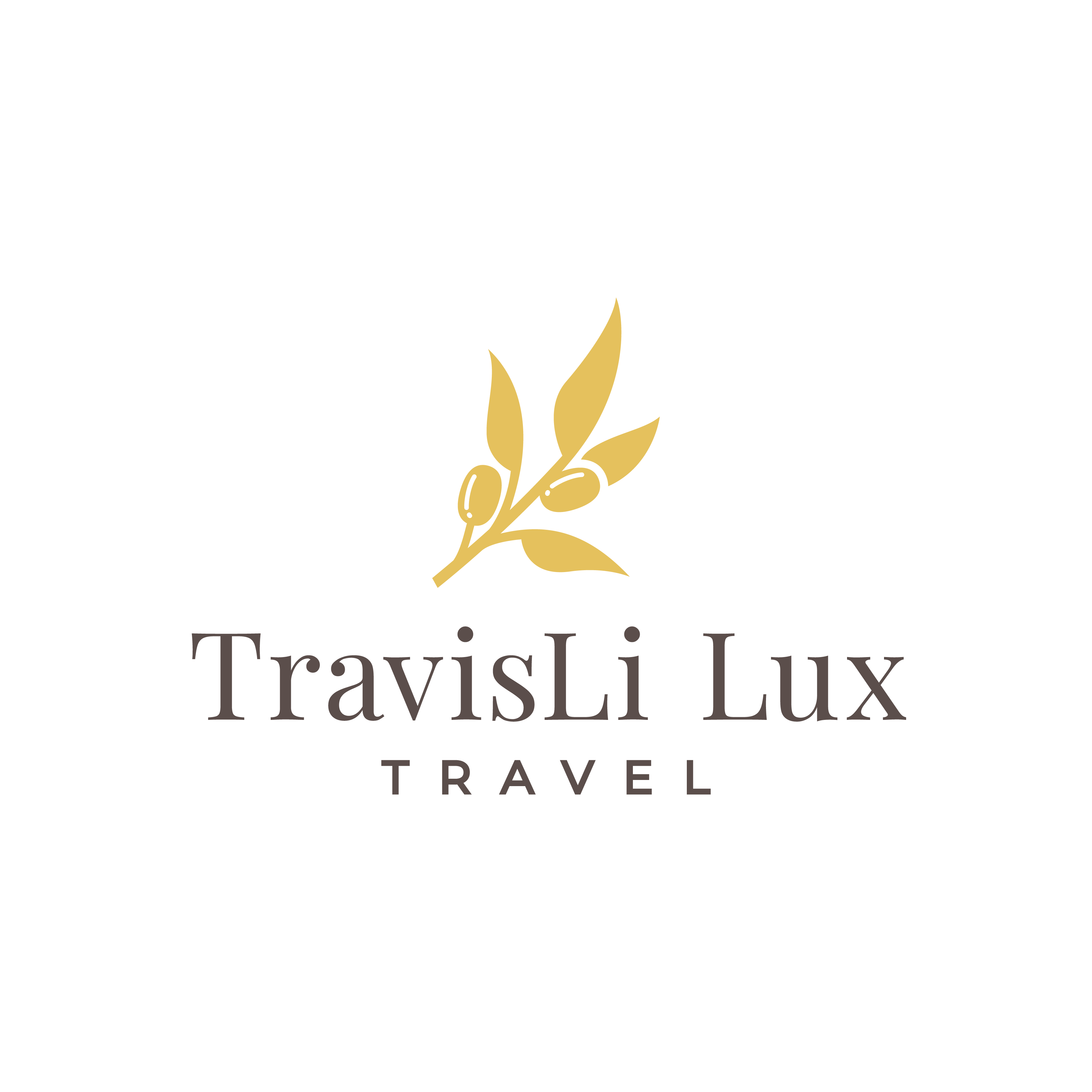 advisor business logo
