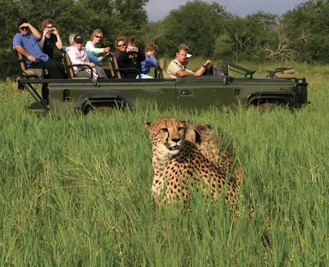 Screenshot 2024-09-23 at 9.53.43 AM.png