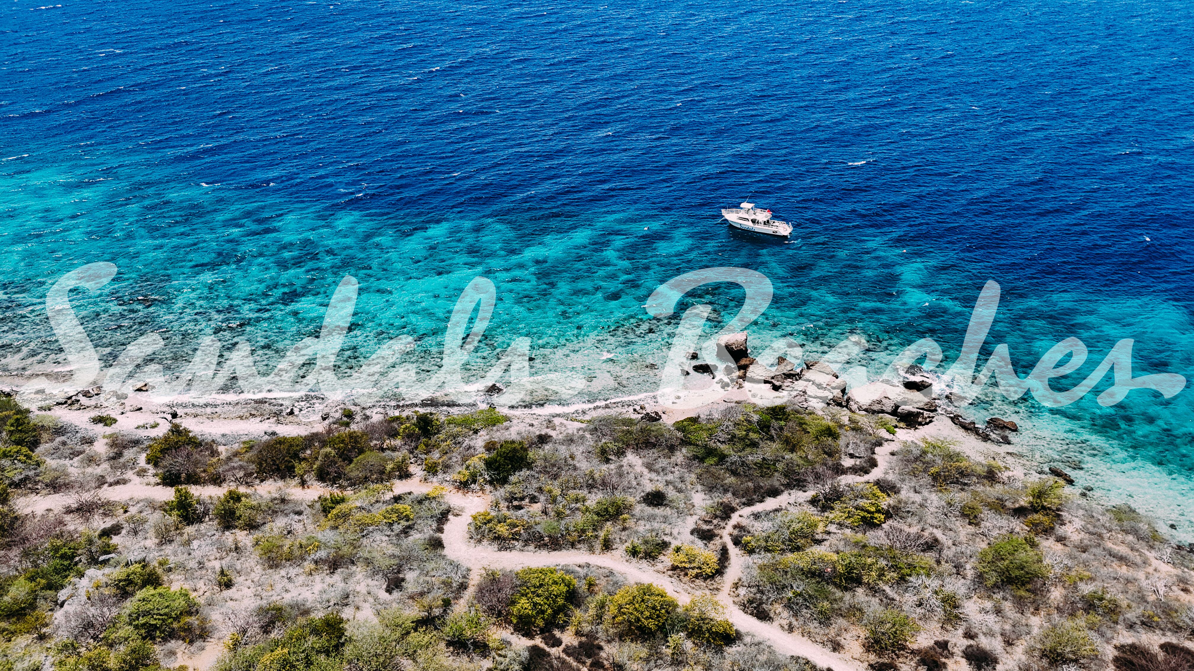 Watermark-SCR-Dive-Week-Dive-Boat-Aerial.jpg