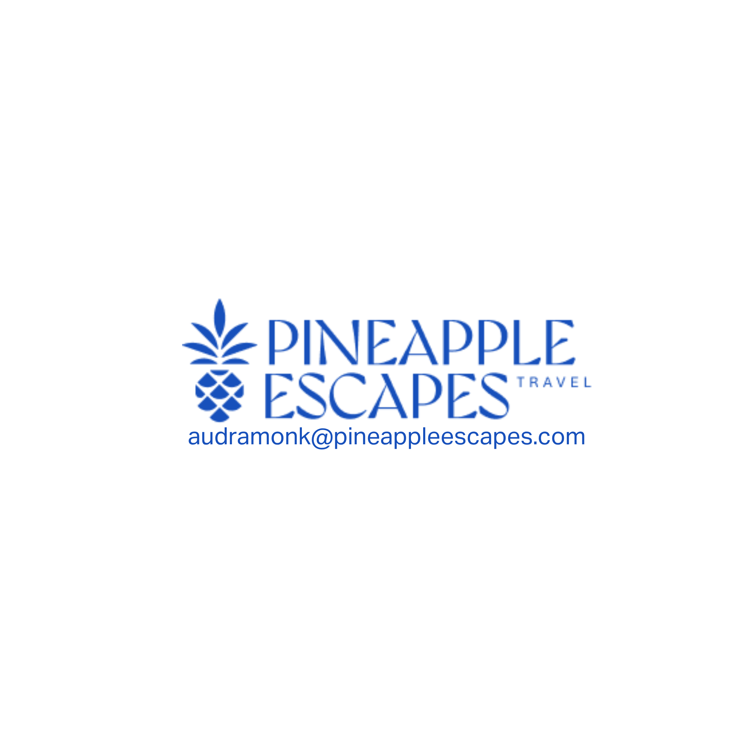 advisor business logo