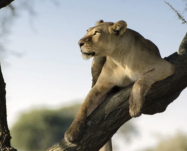 Screenshot 2024-09-23 at 10.35.29 AM.png