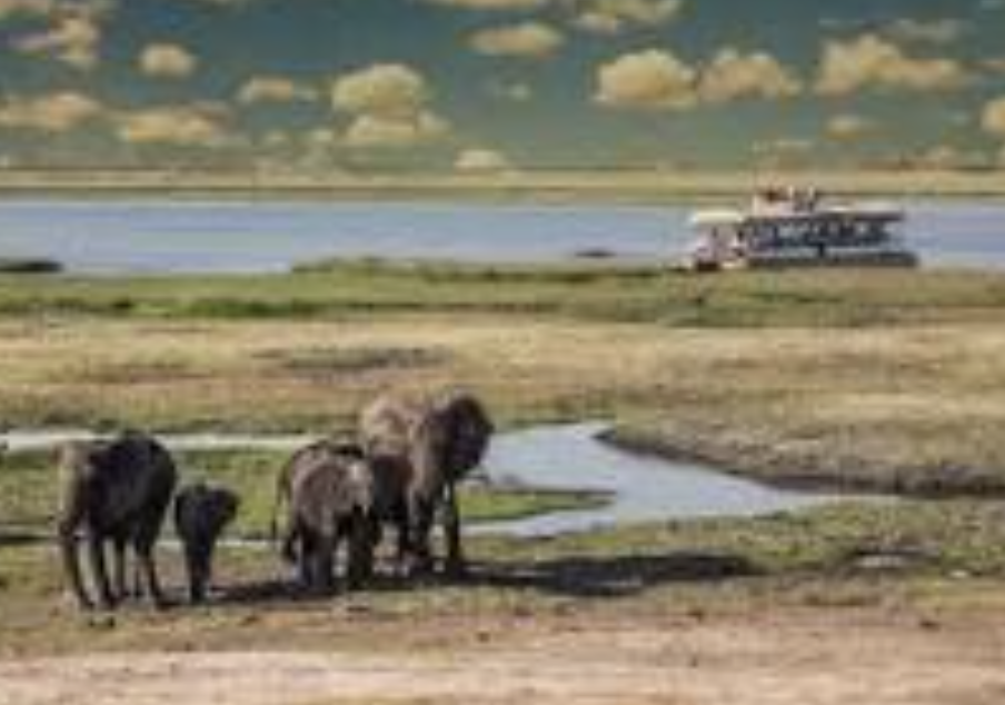 Screenshot 2024-09-23 at 1.45.02 PM.png