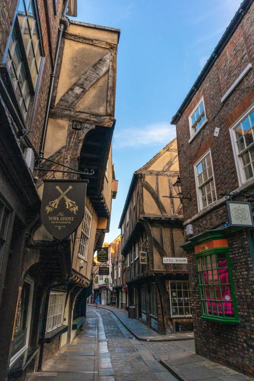 The Shambles 2.jpg